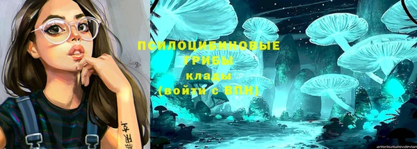 гидра Сатка