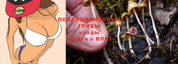 гашик Саяногорск