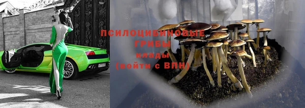 гидра Сатка
